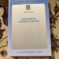 Fondamenti di economia aziendale