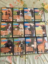 Dvd enciclopedia razze canine