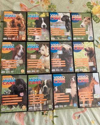 Dvd enciclopedia razze canine