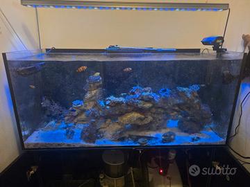 acquario marino completo da 400 litri 