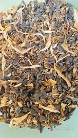 Semi di girasole Gigante - 15 semi