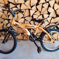 Bicicletta bambino 3-5 anni