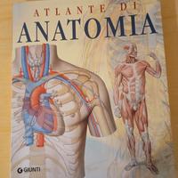 Atlante di Anatomia