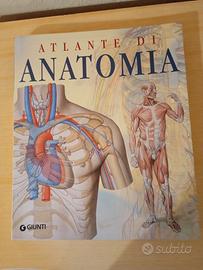 Atlante di Anatomia