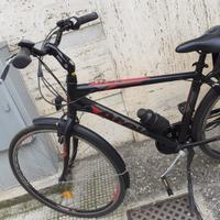 Bicialetta Pedalata assisitita