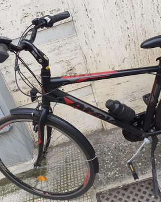 Bicialetta Pedalata assisitita