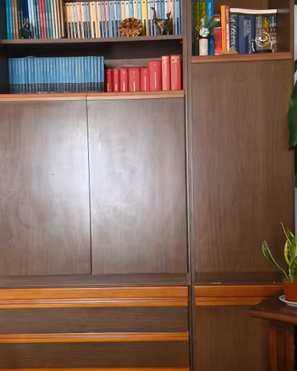 Mobile libreria versatile marrore