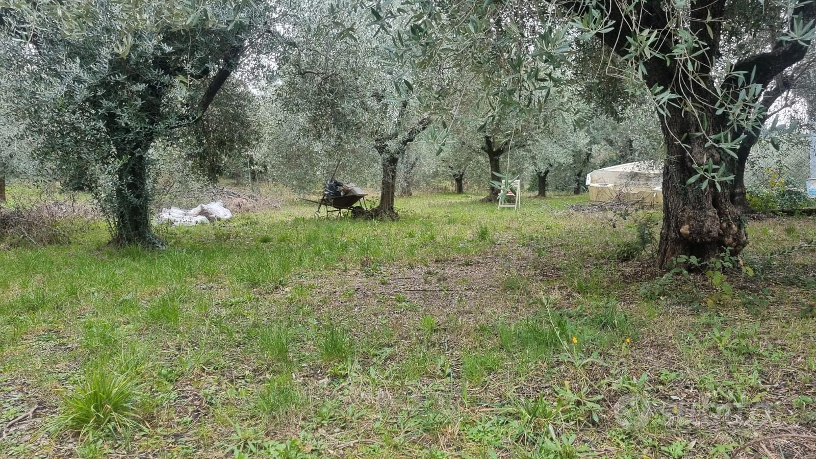 Terenno montecompatri - Vista 5