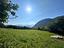 Immagine 15