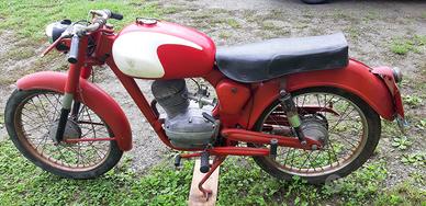 capriolo 75