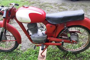 capriolo 75