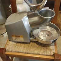 Tritaghiaccio professionale