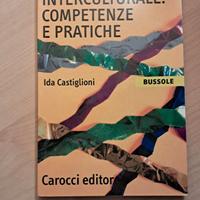 La comunicazione interculturale di Castigliono