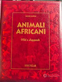 libro animali Africani