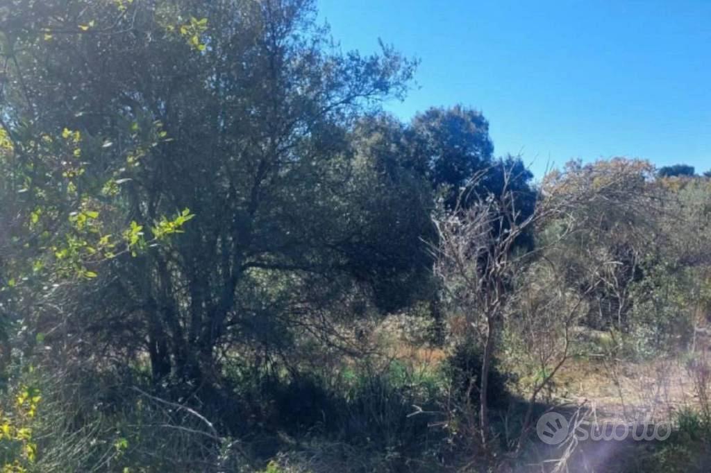 Immobile in asta di 1180 m² a Pedara - Vista 3