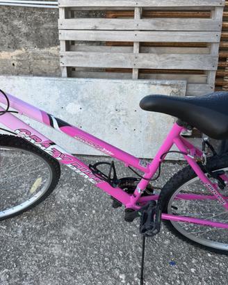 Bicicletta
