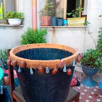 palamiti (tipo. saragaia per orate e saraghi)