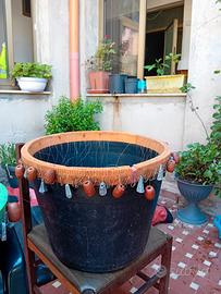 palamiti (tipo. saragaia per orate e saraghi)