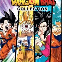 Lamincard Dragon Ball Collection 2019 (240 card)