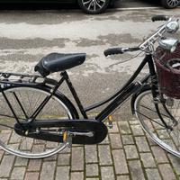 Raleigh coppia biciclette uomo e donna
