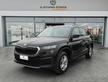 Skoda Kodiaq 2.0 tdi Executive dsg 7 posti Telecam