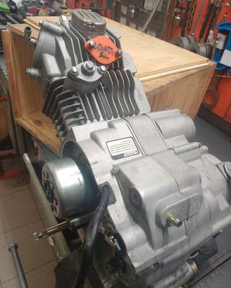 motore yx 172