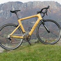 bici da corsa in legno