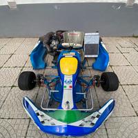 Go kart 250cc