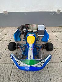Go kart 250cc