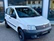 FIAT Panda 1.2 4x4 NEO PATENTATI!