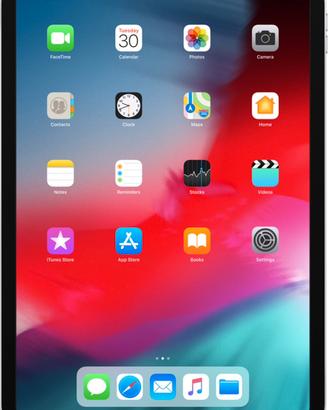 Ipad pro 11 anno 2018