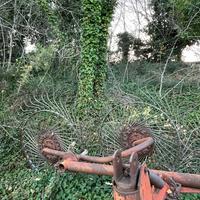 Ranghinatore