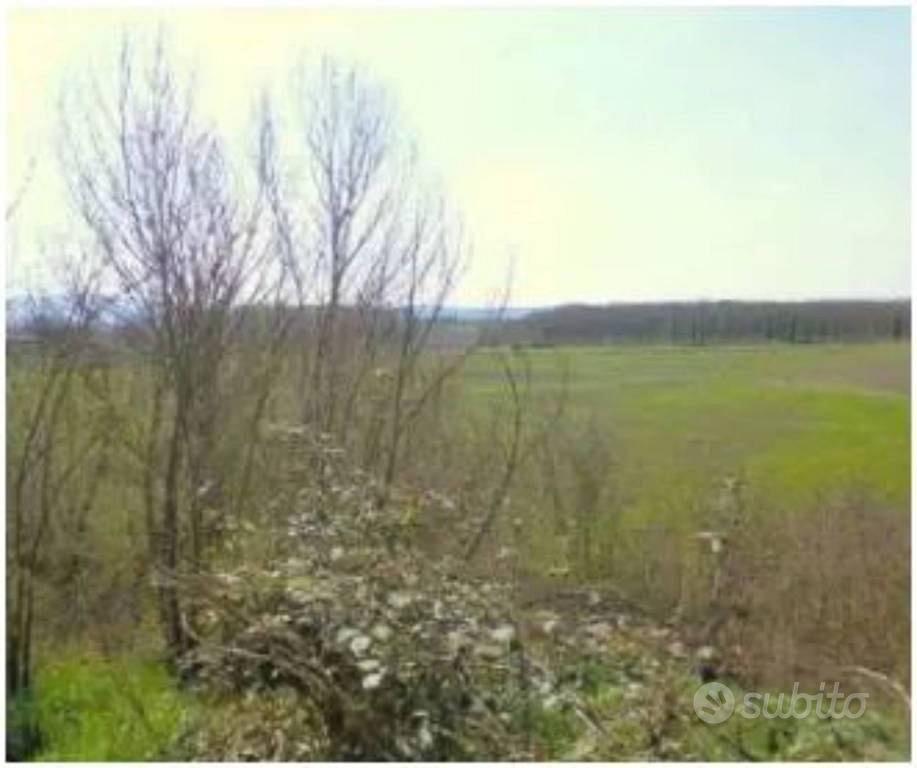 Immobile in asta di 30051 m² a Arezzo - Vista 2