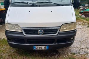 Ducato doppia cabina 2300 JTD