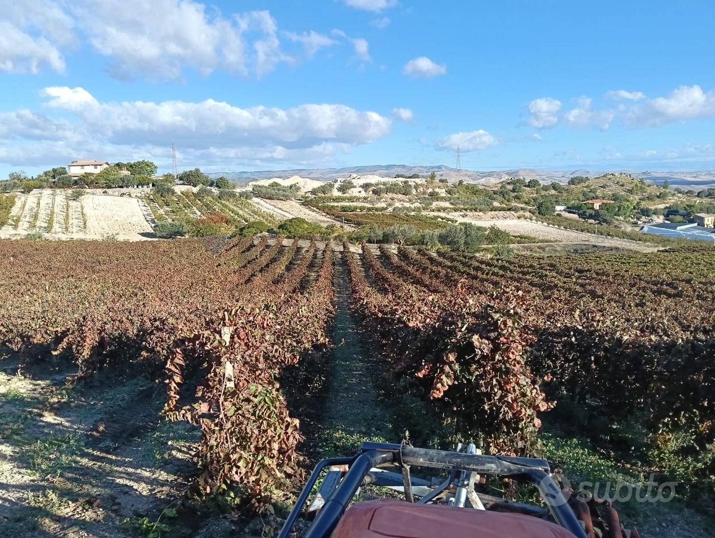 Terreno - Caltagirone - Vista 3