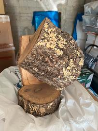 Lampada tronco naturale