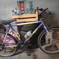 Bicicletta Mountain Bike 