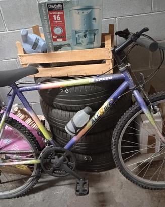 Bicicletta Mountain Bike 