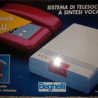 TELEALLARMESALVALAVITA BEGHELLI (969-TSE)
