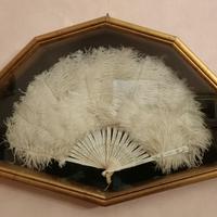 teca con ventaglio in piume di struzzo