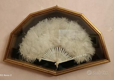 teca con ventaglio in piume di struzzo