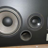 Coppia Casse JBL TLX6