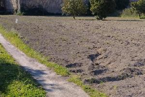 Terreno uso deposito o altro