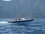 Immagine 11