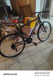 montain bike Frejus 26