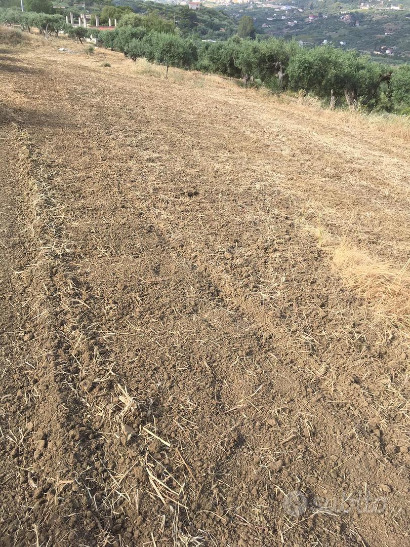 Terreno agricolo - Altro