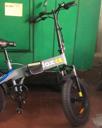 bicicletta elettrica