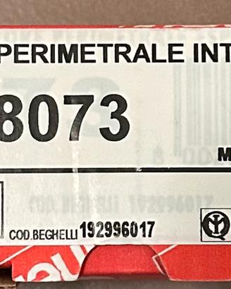 Sersore perimetrale Intelligent Beghelli art. 8073