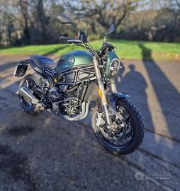 BENELLI Leoncino 800 .