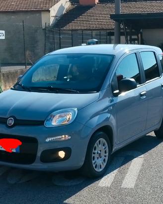 Fiat panda 2018  1.2 Easy  - 34.000km